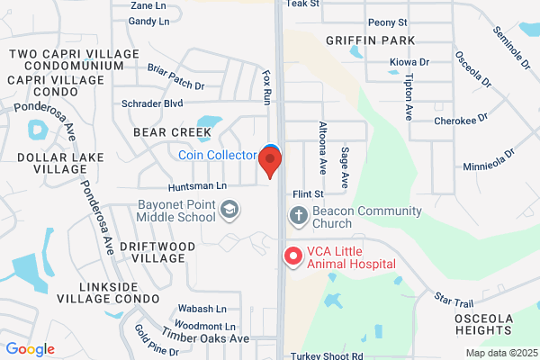 Tampa Bay Closing Inc