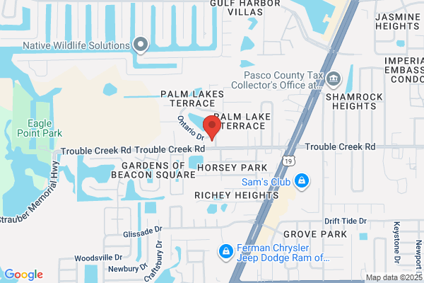 Florida Lawn Care Services