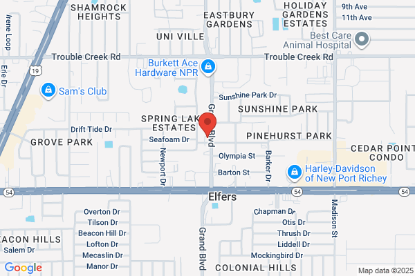 International Cremation Services