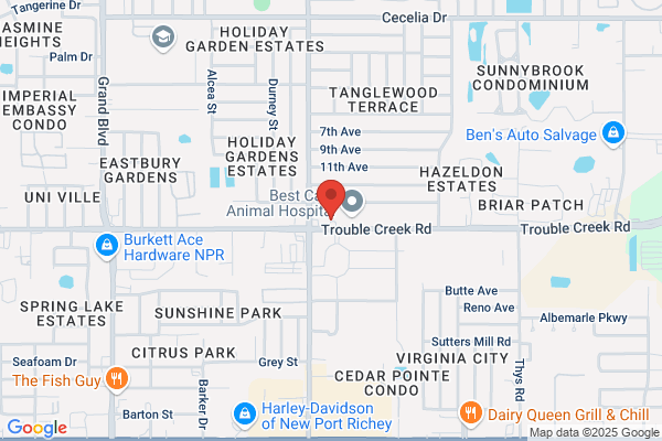 Morgans Funeral Home & Cremation Services