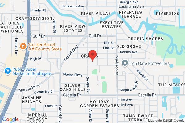AMERICAN OASIS LLC