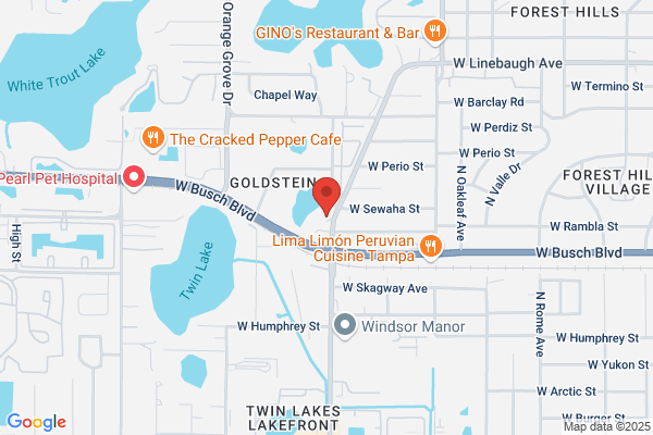 Paradise Title Company of Tampa Bay Inc