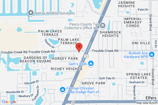 Florida Energy Systems