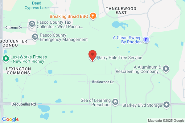 Harry Hale Tree Service Inc.