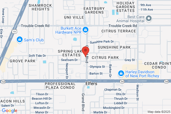 Grand Boulevard Automotive Inc