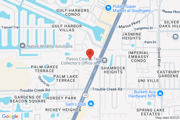 Pre Owned Car Stores