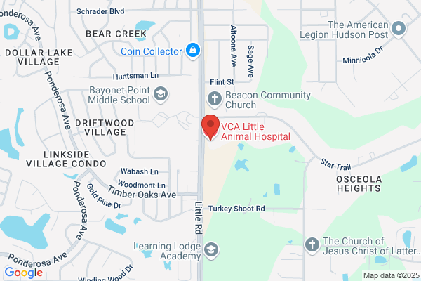 VCA Little Animal Hospital