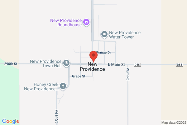 The Rustic Rose