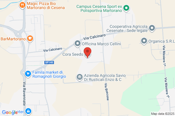 Cerdena M Cora MD