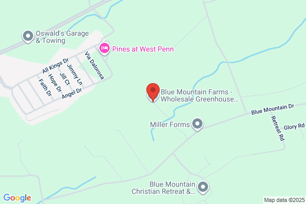 Blue Mountain Farms