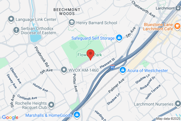 Dogtopia New Rochelle