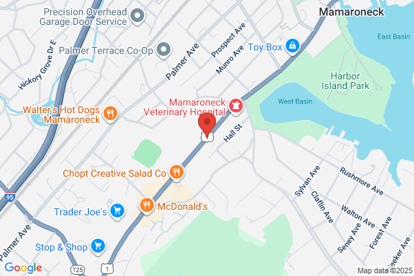Mamaroneck Village