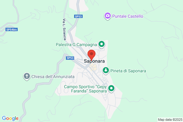 Eduardo M. Saponara, MD