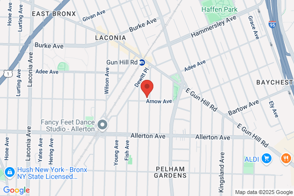 New York Chimney & Furnace Cleaning Co Inc