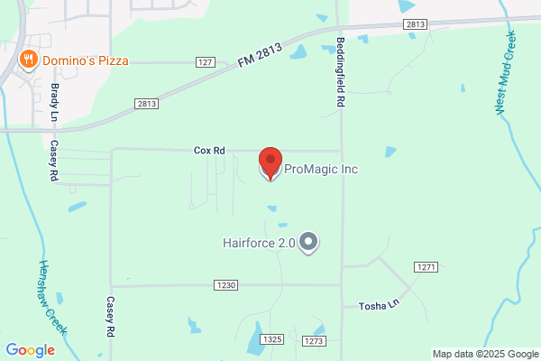 Pro Magic Inc