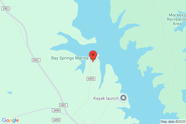 Bay Springs Marina