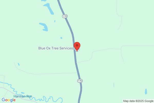 Blue Ox Tree Service