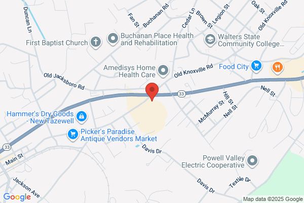 Advance Auto Parts