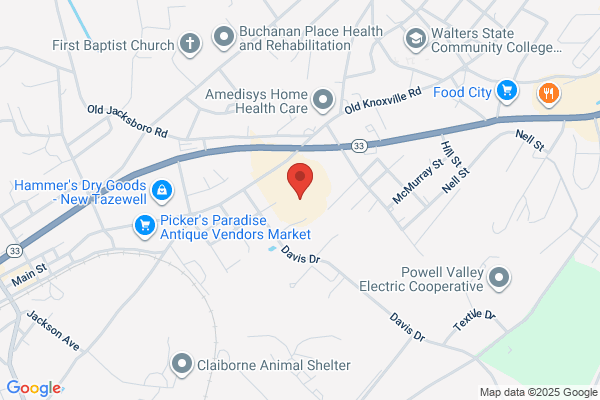 Family Dollar Stores Inc