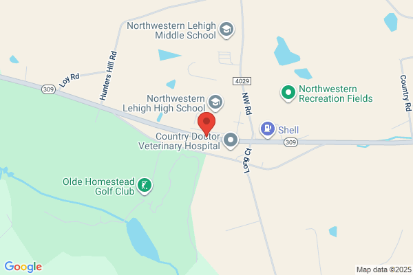 Northwestern Dental Care