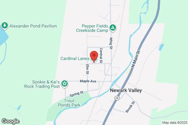 Cardinal Lanes Inc