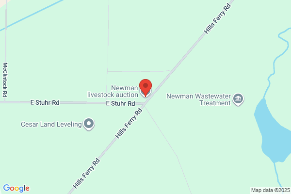 Cliff Newman Auction Service