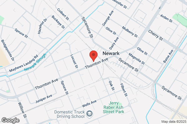 Newark Collision