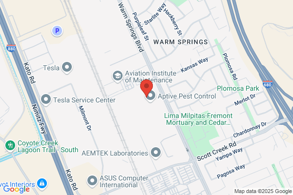 Fremont Carpet Cleaning Experts