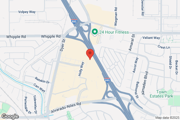 Hollywood Video