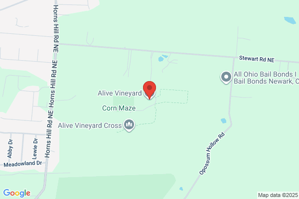 Vineyard of Licking County, Preschool