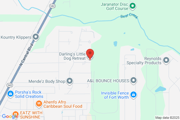 Adorable Dog Resort