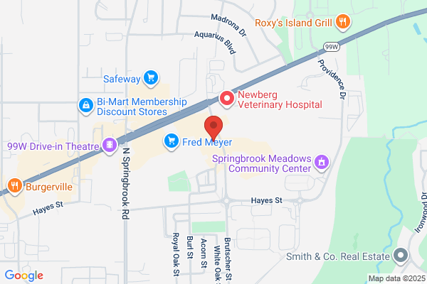Simmons Milton Dentist