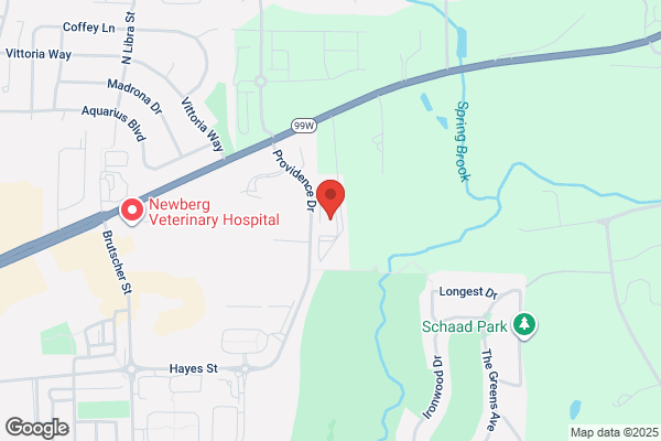 Providence Medical Center Sleep/EEG Services - Newberg