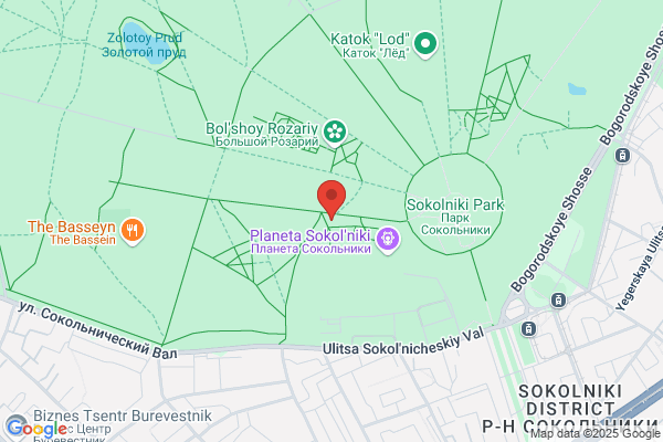 Check Into Cash