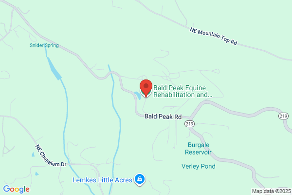 Bald Peak Foaling & Rehabilitation Center