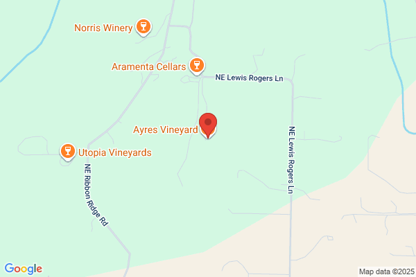 Ayres Vineyard