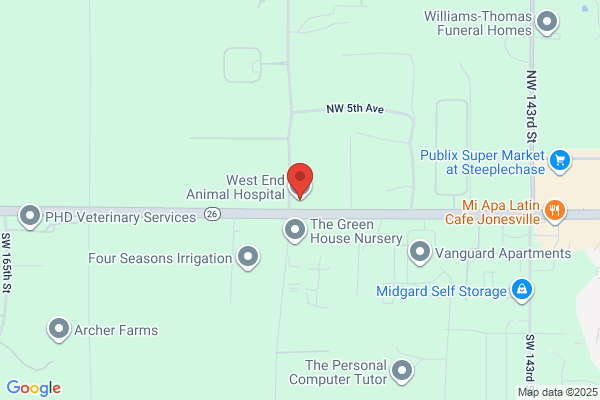 West End Animal Hospital
