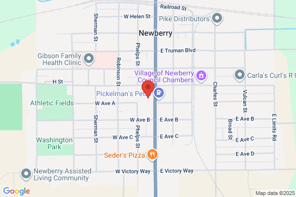 Tahquamenon Area Schools, Newberry Elementary School