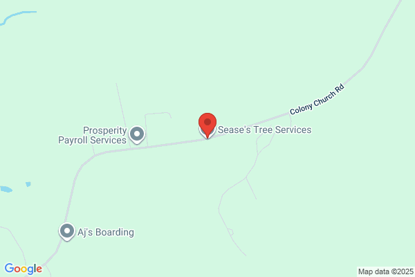 Sease's Tree Service