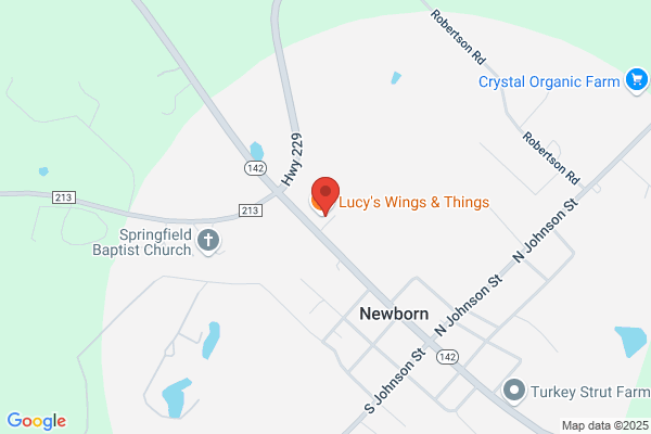 Lucy's Wings & Things