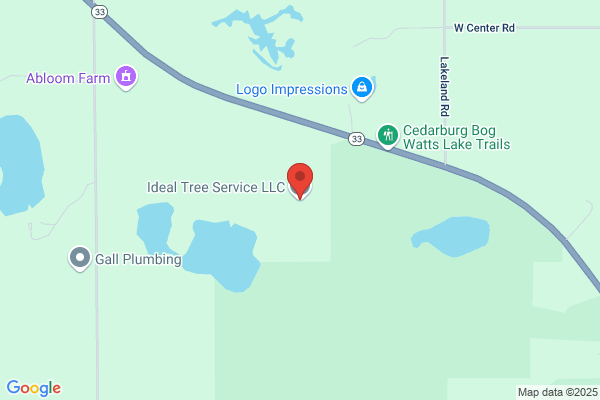 Ideal Tree Service LLC.