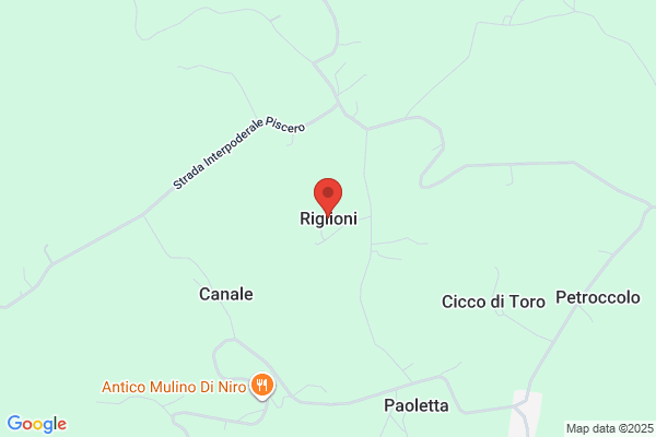 Riglioni Construction