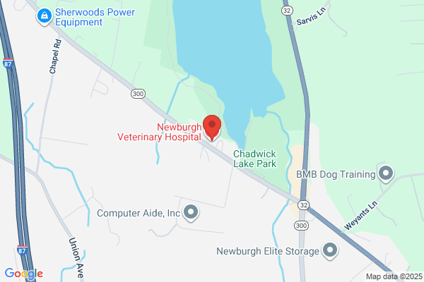 Newburgh Veterinary Hospital