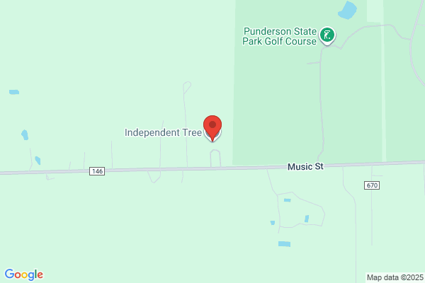 Independent Tree LLC