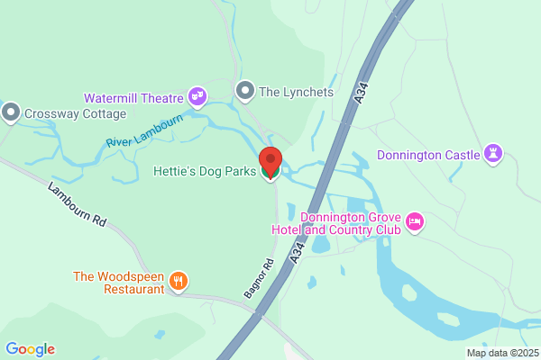 Going To The Dogs
