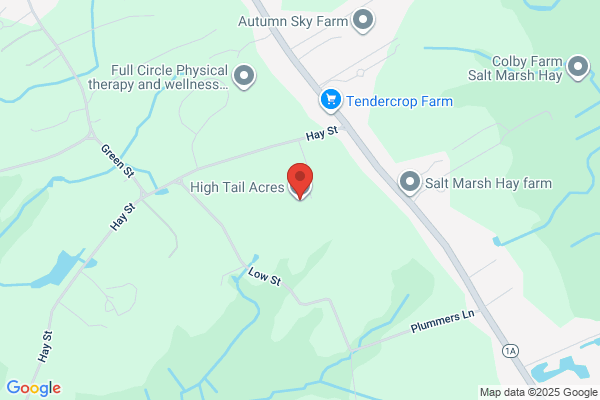 High Tail Acres