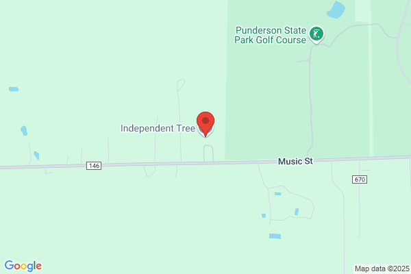 Independent Tree LLC