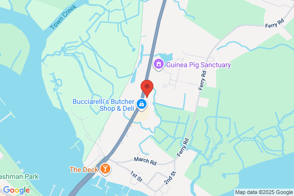 Suchecki Chiropractic