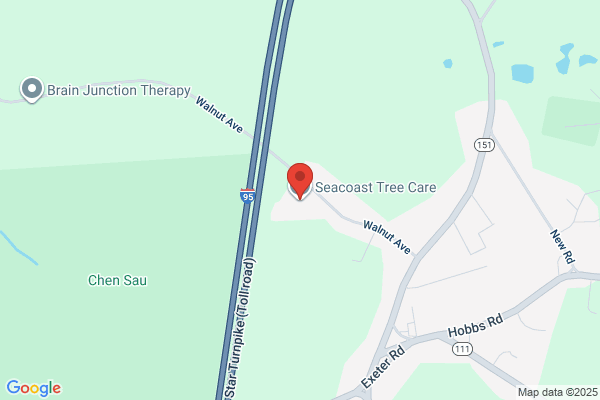 Seacoast Tree Care