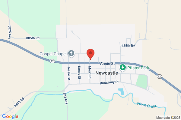 Schools, Newcastle Public School